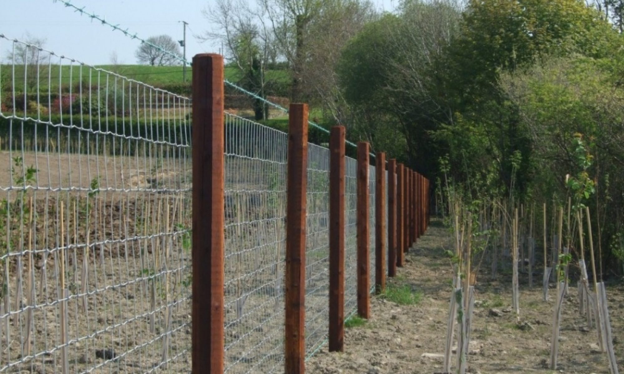 Swedish creosoted fencing solution with a 25 year guarantee